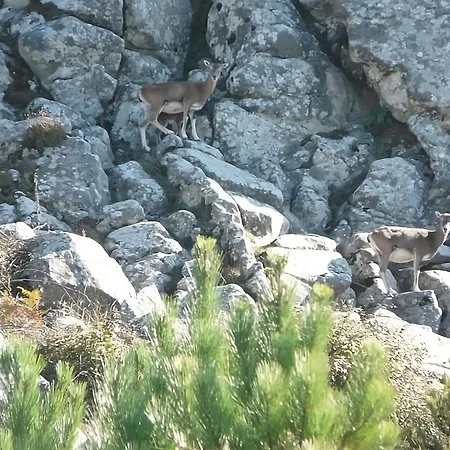 Apartmán Il Portico Rosa Cuglieri