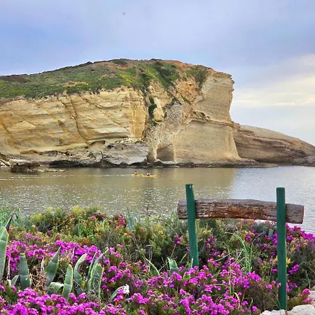 Il Portico Rosa דירה